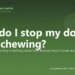 How do I stop my dog from chewing? - PuppaDogs FAQ