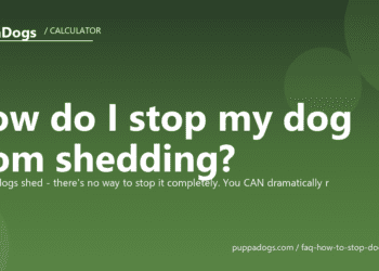 How do I stop my dog from shedding? - PuppaDogs FAQ