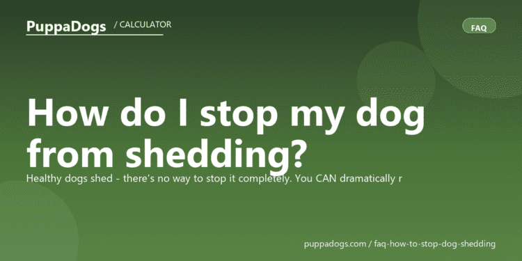 How do I stop my dog from shedding? - PuppaDogs FAQ