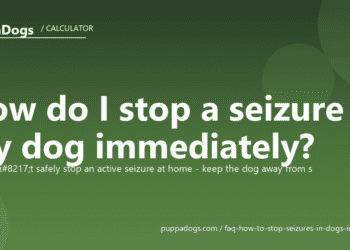 How do I stop a seizure in my dog immediately? - PuppaDogs FAQ
