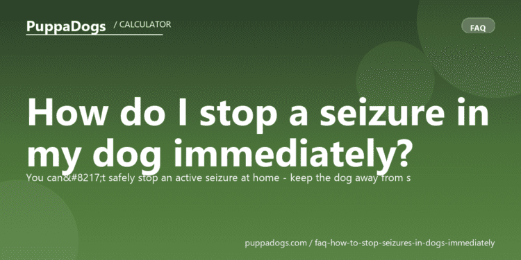 How do I stop a seizure in my dog immediately? - PuppaDogs FAQ