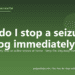 How do I stop a seizure in my dog immediately? - PuppaDogs FAQ