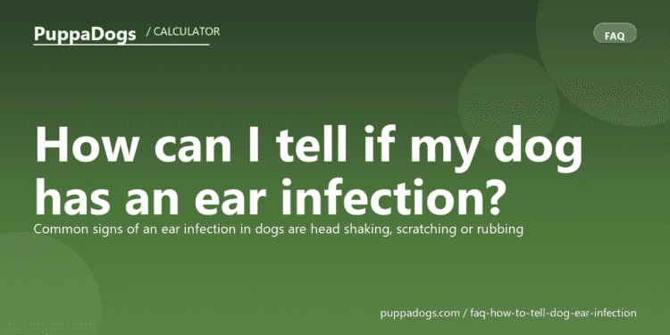 How can I tell if my dog has an ear infection? - PuppaDogs FAQ