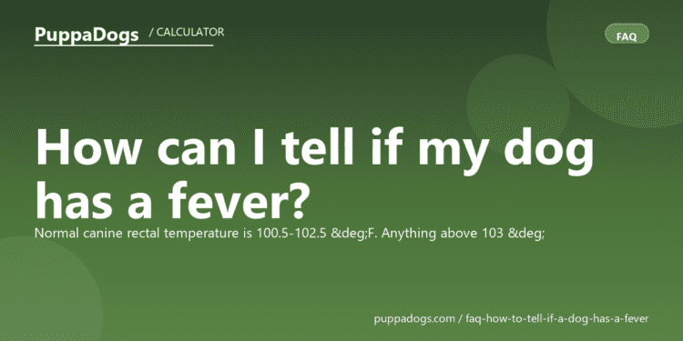 How can I tell if my dog has a fever? - PuppaDogs FAQ