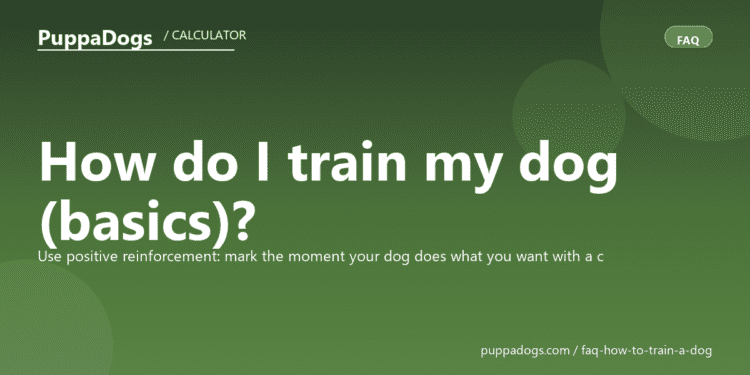 How do I train my dog (basics)? - PuppaDogs FAQ