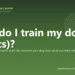 How do I train my dog (basics)? - PuppaDogs FAQ