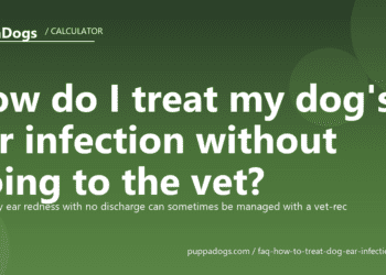 How do I treat my dog's ear infection without going to the vet? - PuppaDogs FAQ
