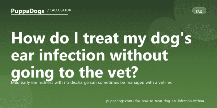 How do I treat my dog's ear infection without going to the vet? - PuppaDogs FAQ