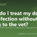 How do I treat my dog's ear infection without going to the vet? - PuppaDogs FAQ