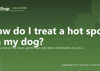 How do I treat a hot spot on my dog? - PuppaDogs FAQ