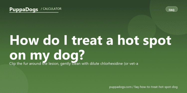 How do I treat a hot spot on my dog? - PuppaDogs FAQ