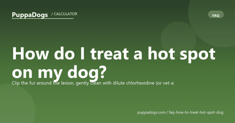How do I treat a hot spot on my dog? - PuppaDogs FAQ