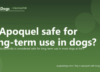 Is Apoquel safe for long-term use in dogs? - PuppaDogs FAQ