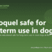 Is Apoquel safe for long-term use in dogs? - PuppaDogs FAQ