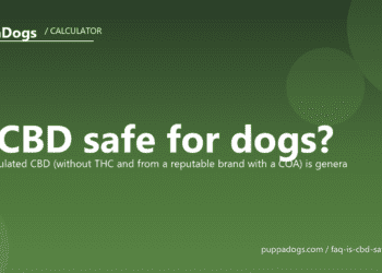 Is CBD safe for dogs? - PuppaDogs FAQ