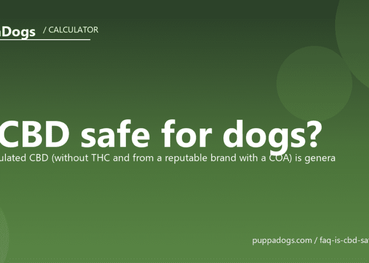 Is CBD safe for dogs? - PuppaDogs FAQ