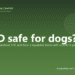 Is CBD safe for dogs? - PuppaDogs FAQ