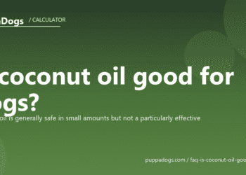 Is coconut oil good for dogs? - PuppaDogs FAQ