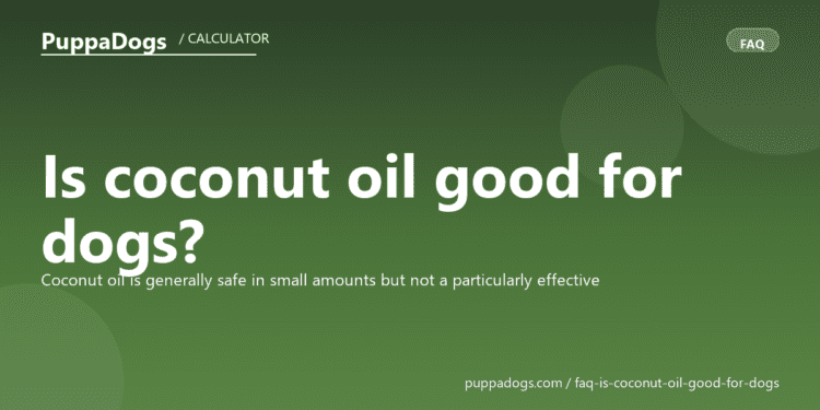 Is coconut oil good for dogs? - PuppaDogs FAQ