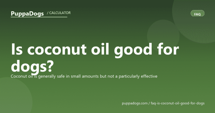 Is coconut oil good for dogs? - PuppaDogs FAQ