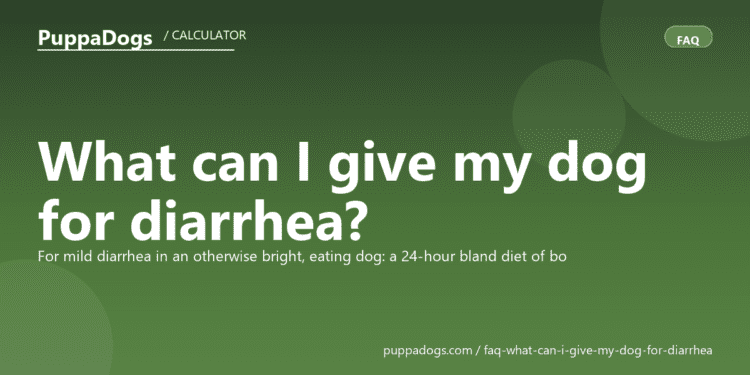 What can I give my dog for diarrhea? - PuppaDogs FAQ