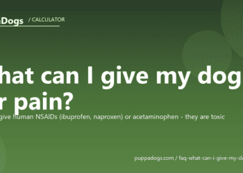 What can I give my dog for pain? - PuppaDogs FAQ