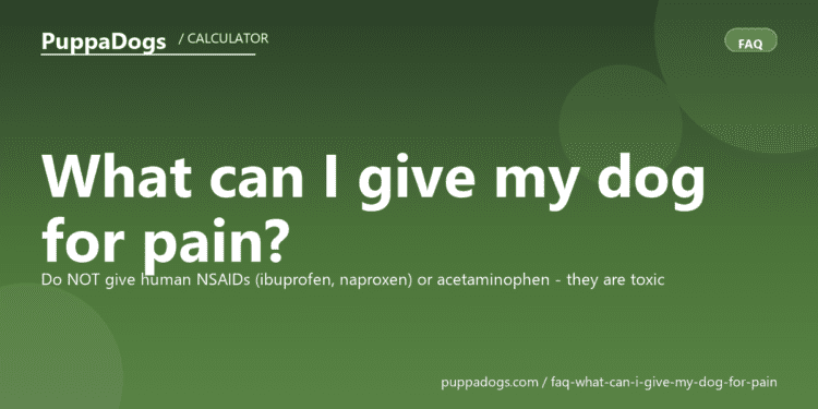 What can I give my dog for pain? - PuppaDogs FAQ
