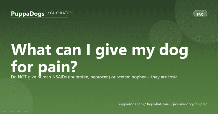 What can I give my dog for pain? - PuppaDogs FAQ