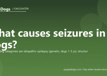 What causes seizures in dogs? - PuppaDogs FAQ
