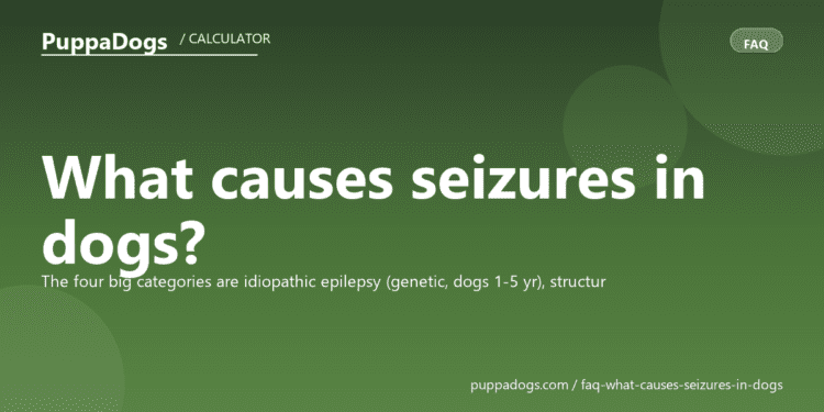 What causes seizures in dogs? - PuppaDogs FAQ