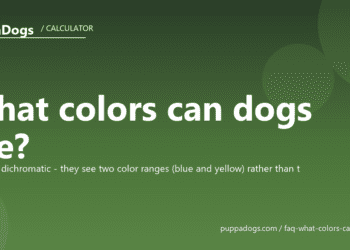 What colors can dogs see? - PuppaDogs FAQ