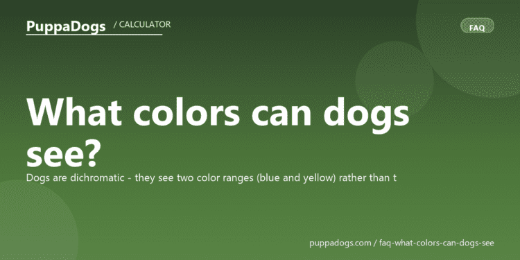 What colors can dogs see? - PuppaDogs FAQ