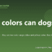 What colors can dogs see? - PuppaDogs FAQ