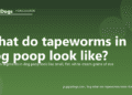 What do tapeworms in dog poop look like? - PuppaDogs FAQ