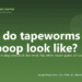 What do tapeworms in dog poop look like? - PuppaDogs FAQ
