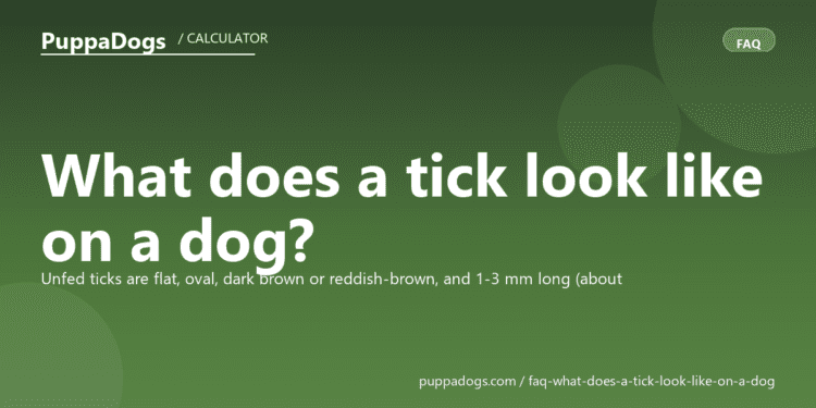 What does a tick look like on a dog? - PuppaDogs FAQ