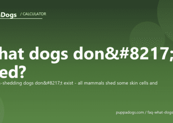 What dogs don’t shed? - PuppaDogs FAQ