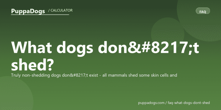 What dogs don’t shed? - PuppaDogs FAQ