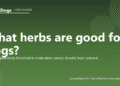 What herbs are good for dogs? - PuppaDogs FAQ