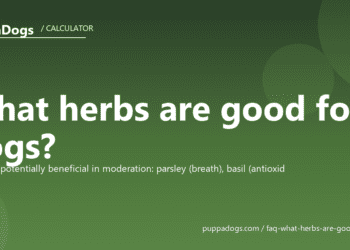 What herbs are good for dogs? - PuppaDogs FAQ