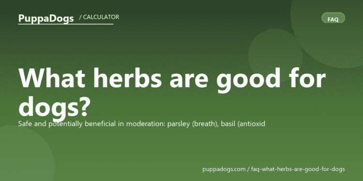 What herbs are good for dogs? - PuppaDogs FAQ