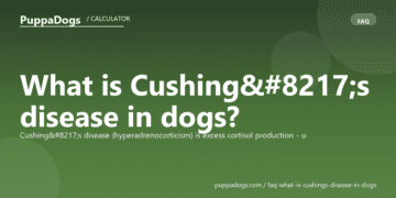 What is Cushing’s disease in dogs? - PuppaDogs FAQ