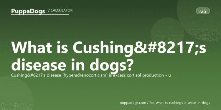 What is Cushing’s disease in dogs? - PuppaDogs FAQ