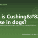 What is Cushing’s disease in dogs? - PuppaDogs FAQ