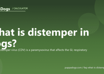 What is distemper in dogs? - PuppaDogs FAQ