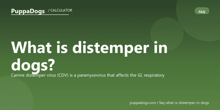What is distemper in dogs? - PuppaDogs FAQ