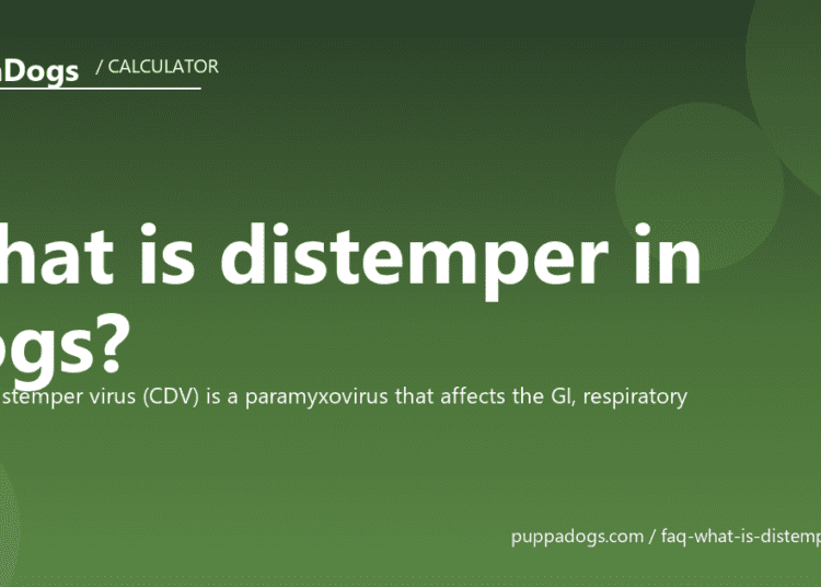 What is distemper in dogs? - PuppaDogs FAQ