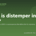 What is distemper in dogs? - PuppaDogs FAQ