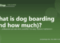What is dog boarding (and how much)? - PuppaDogs FAQ