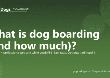 What is dog boarding (and how much)? - PuppaDogs FAQ